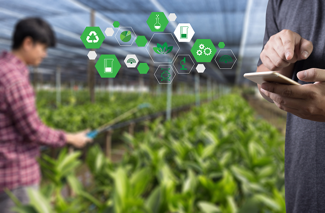 SoraNavi®の主なコンテンツ